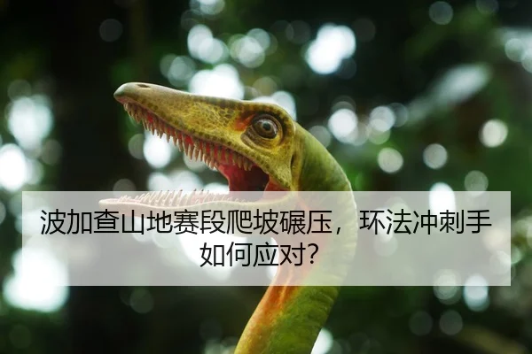 波加查山地赛段爬坡碾压，环法冲刺手如何应对？