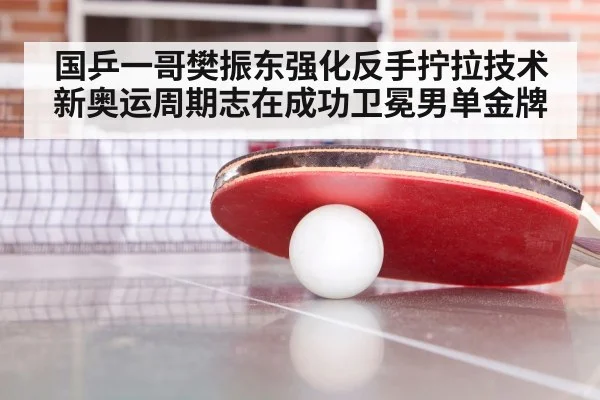 国乒一哥樊振东强化反手拧拉技术 新奥运周期志在成功卫冕男单金牌